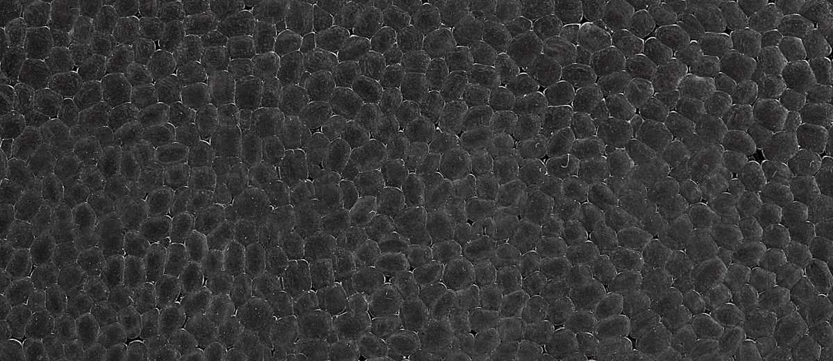 Expandiertes Polypropylen Expandiertes Polypropylen
